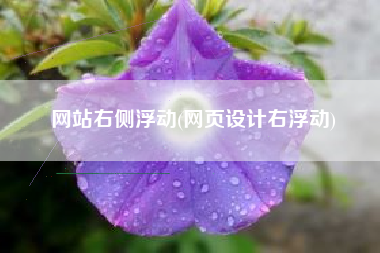 网站右侧浮动(网页设计右浮动)