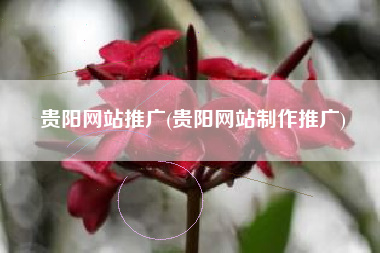贵阳网站推广(贵阳网站制作推广)