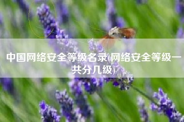 中国网络安全等级名录(网络安全等级一共分几级)