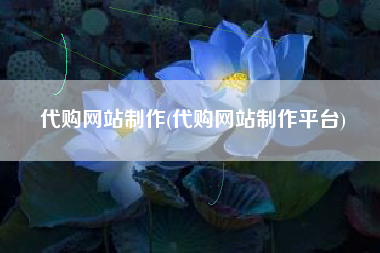 代购网站制作(代购网站制作平台)