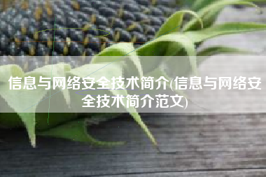 信息与网络安全技术简介(信息与网络安全技术简介范文)