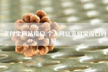 支付宝网站接口(个人网站支付宝接口对接)