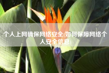 个人上网确保网络安全(如何保障网络个人安全信息)