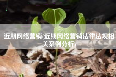 近期网络营销(近期网络营销法律法规相关案例分析)