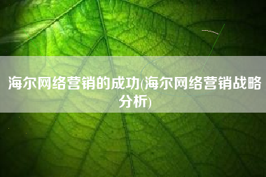 海尔网络营销的成功(海尔网络营销战略分析)