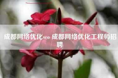 成都网络优化seo 成都网络优化工程师招聘