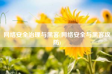 网络安全治理与黑客(网络安全与黑客攻防)