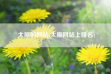太原的网站(太原网站上排名)