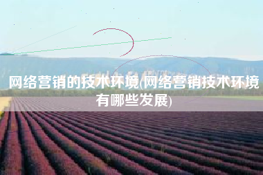 网络营销的技术环境(网络营销技术环境有哪些发展)