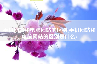 手机网站和电脑网站的区别(手机网站和电脑网站的区别是什么)