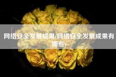网络安全发展成果(网络安全发展成果有哪些)