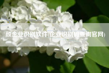 颜企业识别软件(企业识别码查询官网)