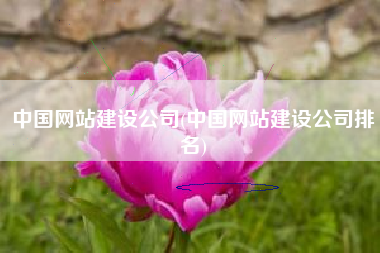 中国网站建设公司(中国网站建设公司排名)