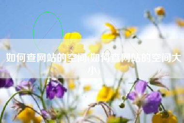 如何查网站的空间(如何查网站的空间大小)
