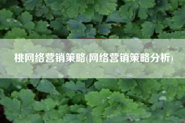 桃网络营销策略(网络营销策略分析)