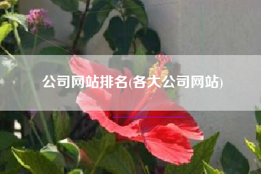 公司网站排名(各大公司网站)