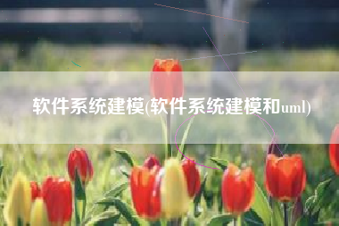 软件系统建模(软件系统建模和uml)