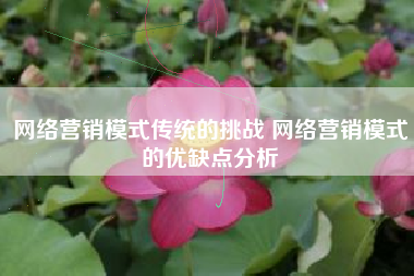 网络营销模式传统的挑战 网络营销模式的优缺点分析