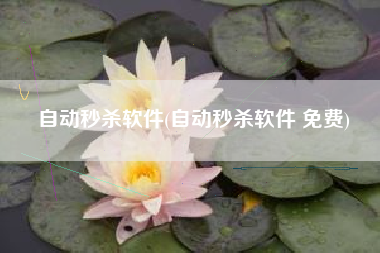 自动秒杀软件(自动秒杀软件 免费)