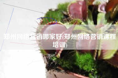 郑州网络营销哪家好(郑州网络营销课程培训)