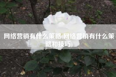 网络营销有什么策略(网络营销有什么策略和技巧)