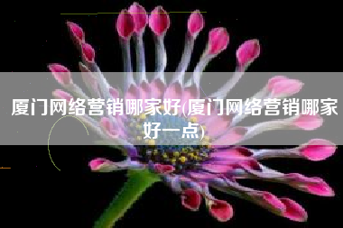 厦门网络营销哪家好(厦门网络营销哪家好一点)