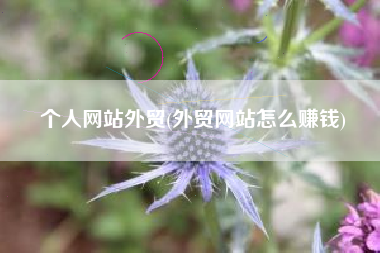 个人网站外贸(外贸网站怎么赚钱)