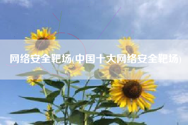 网络安全靶场(中国十大网络安全靶场)