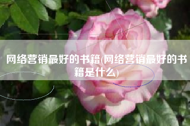 网络营销最好的书籍(网络营销最好的书籍是什么)