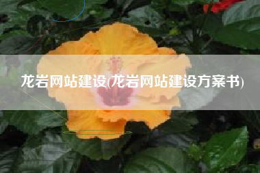 龙岩网站建设(龙岩网站建设方案书)