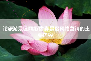 论旅游景区网络营销(景区网络营销的主要内容)