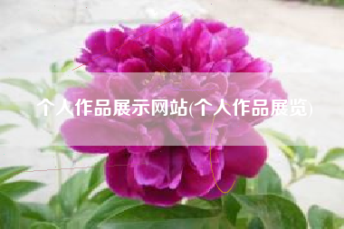 个人作品展示网站(个人作品展览)