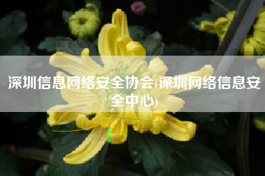 深圳信息网络安全协会(深圳网络信息安全中心)