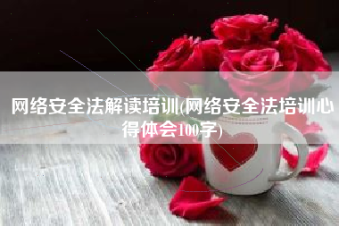 网络安全法解读培训(网络安全法培训心得体会100字)