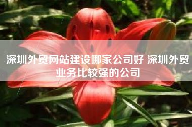深圳外贸网站建设哪家公司好 深圳外贸业务比较强的公司