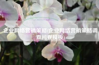 企业网络营销策略(企业网络营销策略调查问卷模板)