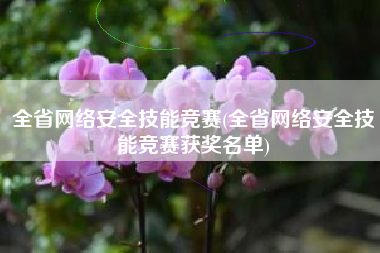全省网络安全技能竞赛(全省网络安全技能竞赛获奖名单)