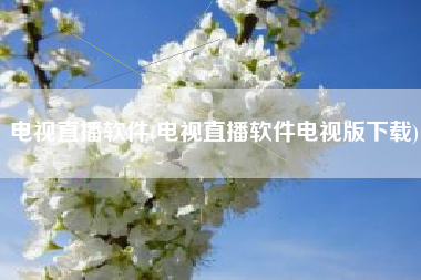 电视直播软件(电视直播软件电视版下载)