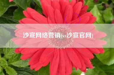 沙宣网络营销(vs沙宣官网)