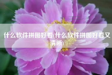 什么软件拼图好看(什么软件拼图好看又清晰)