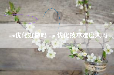 seo优化好做吗 seo 优化技术难度大吗
