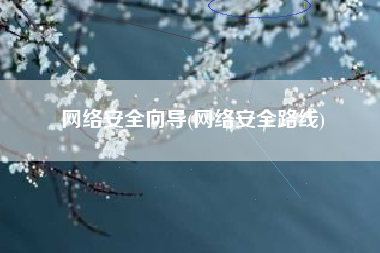 网络安全向导(网络安全路线)