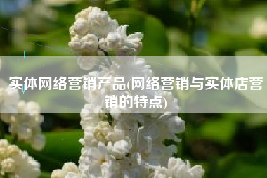 实体网络营销产品(网络营销与实体店营销的特点)