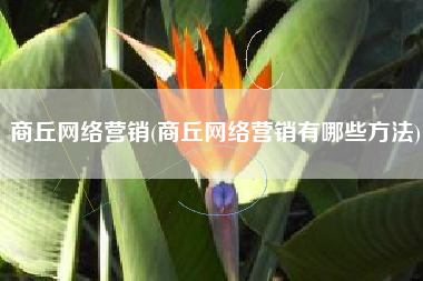 商丘网络营销(商丘网络营销有哪些方法)