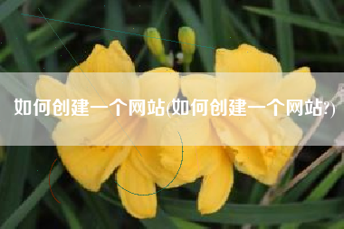 如何创建一个网站(如何创建一个网站?)