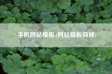 手机网站模板.(网站模板商城)
