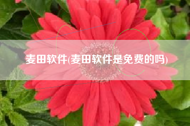 麦田软件(麦田软件是免费的吗)
