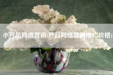 小产品网络营销(产品网络营销推广价格)