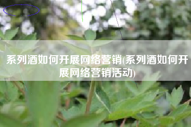 系列酒如何开展网络营销(系列酒如何开展网络营销活动)