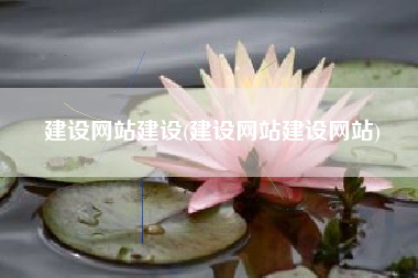 建设网站建设(建设网站建设网站)